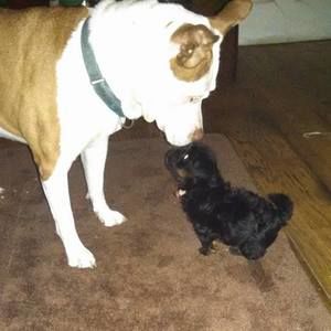 Meet your Posher, Christine